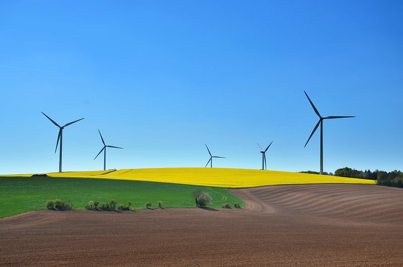 Sustainable Options